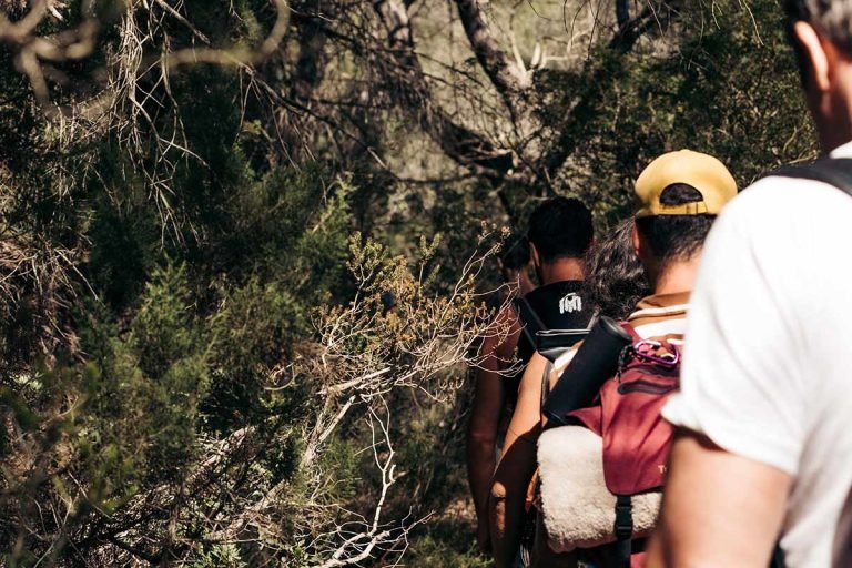 1-day San Pedro Hiking Retreat in Ibiza, Spain (Oct 3, 2026)