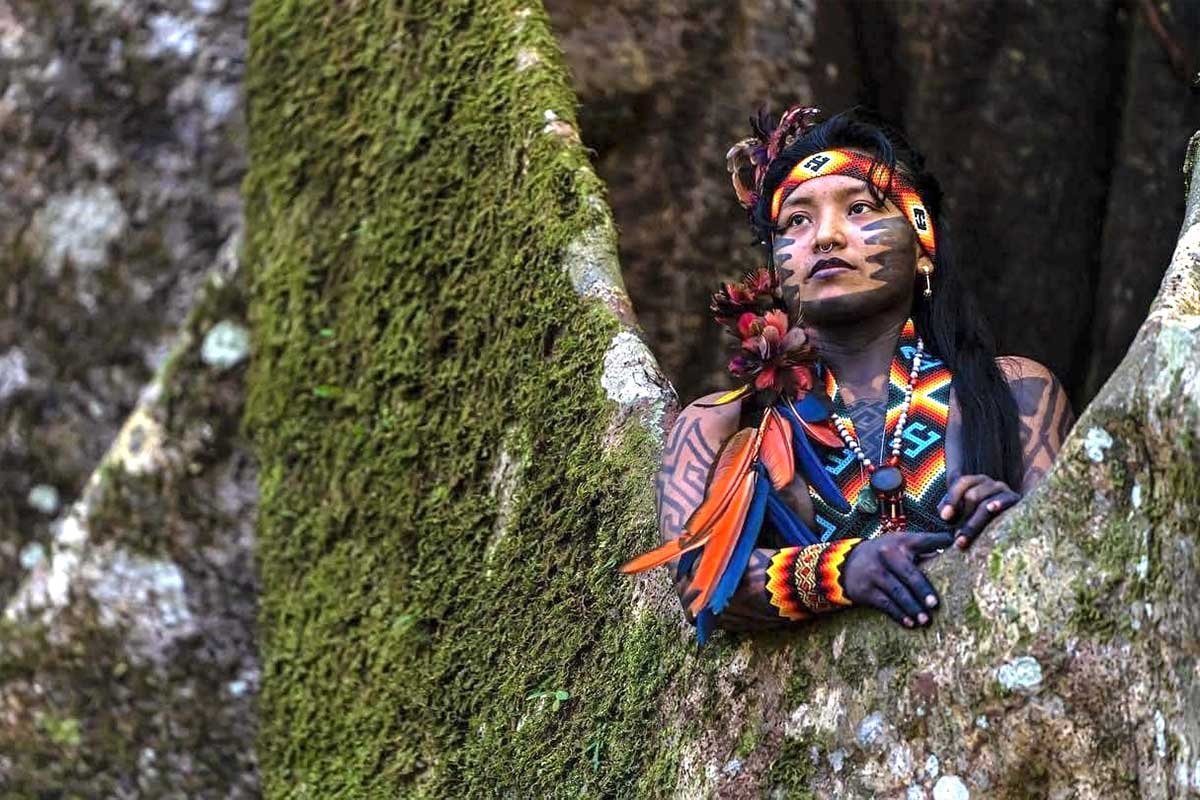 6-day Holistic Ayahuasca Retreat w/ Tuim Nova Era, Dona Txima & Yeke Kaya (Oct 14 - 19, 2025) | Avalon