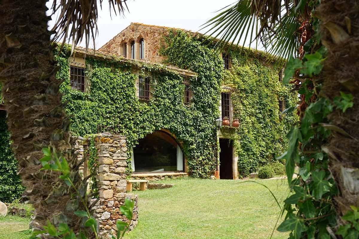 Ayahuasca Retreats in Europe 42 avalon_ayahuasca_retreat_barcelona_03