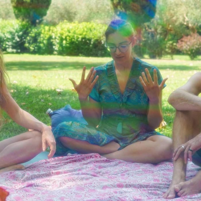 Holistic Ayahuasca Retreats in Europe | Avalon