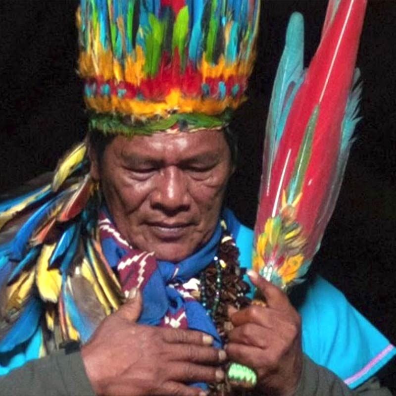 1-on-1 Healing w/ Taita Isaías | Avalon: Ayahuasca Retreats In Europe