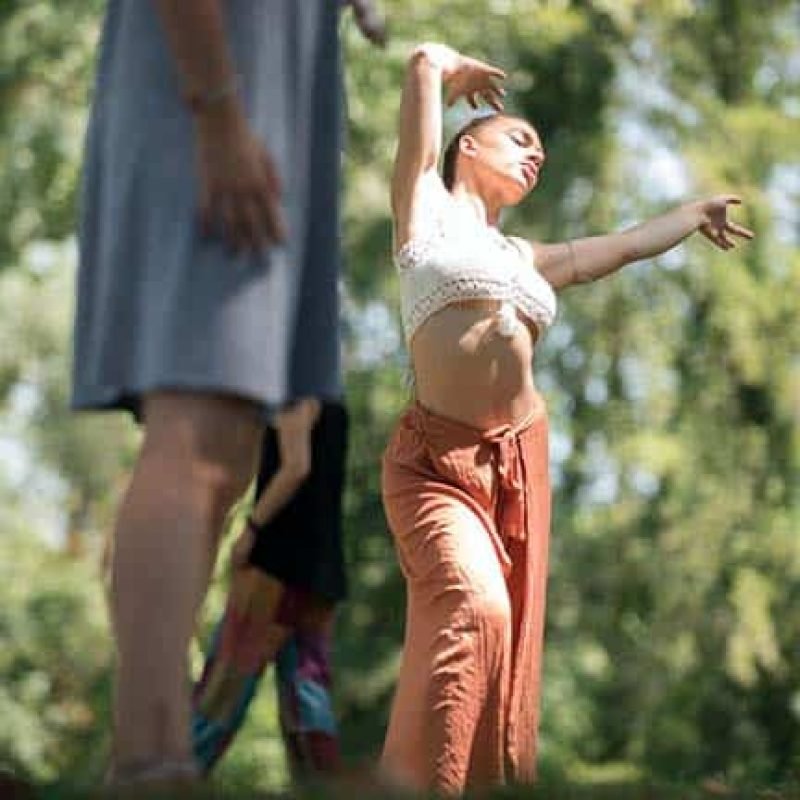 Integration Workshops | Avalon: Ayahuasca Retreats In Europe