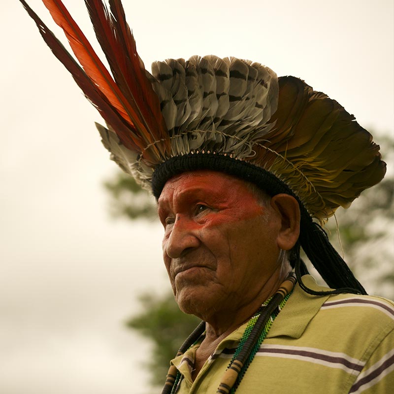 Vovô Tema João - Yawanawá Shaman | Avalon: Ayahuasca Retreats in Europe